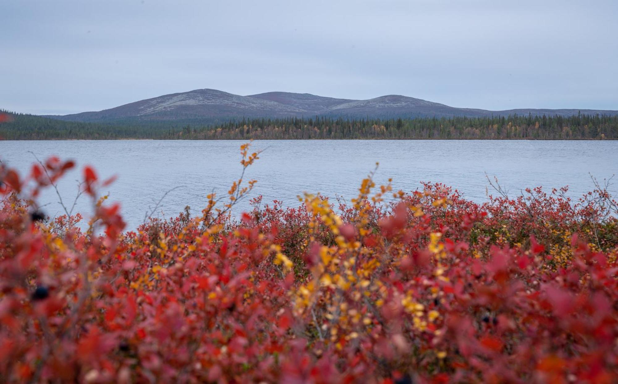 Fell Centre Kiilopaeae, Hotelli Niilanpaeae Saariselka Eksteriør bilde