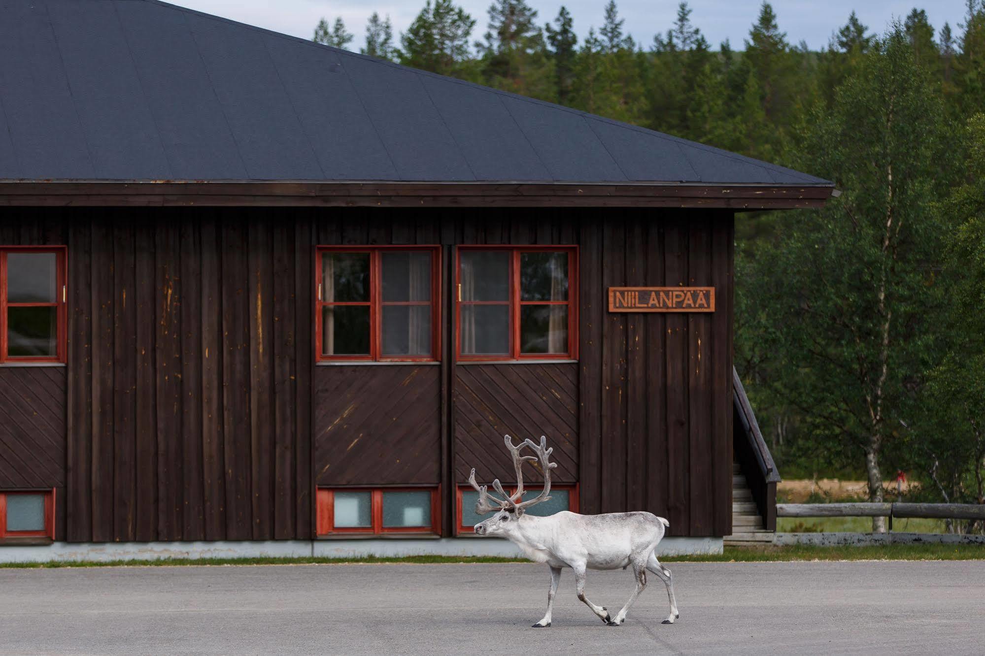 Fell Centre Kiilopaeae, Hotelli Niilanpaeae Saariselka Eksteriør bilde